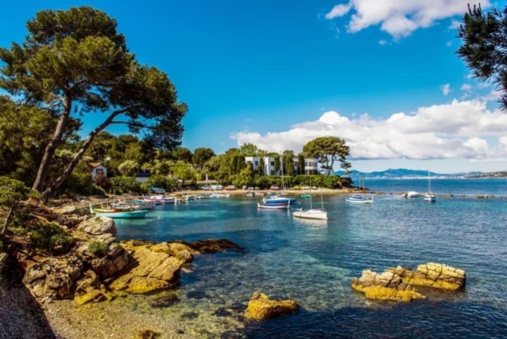 Charmant Studio Renove A Antibes, Plage A 10 Min A Pied Exteriér fotografie